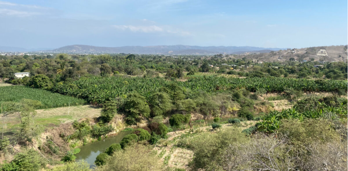 Portoviejo River