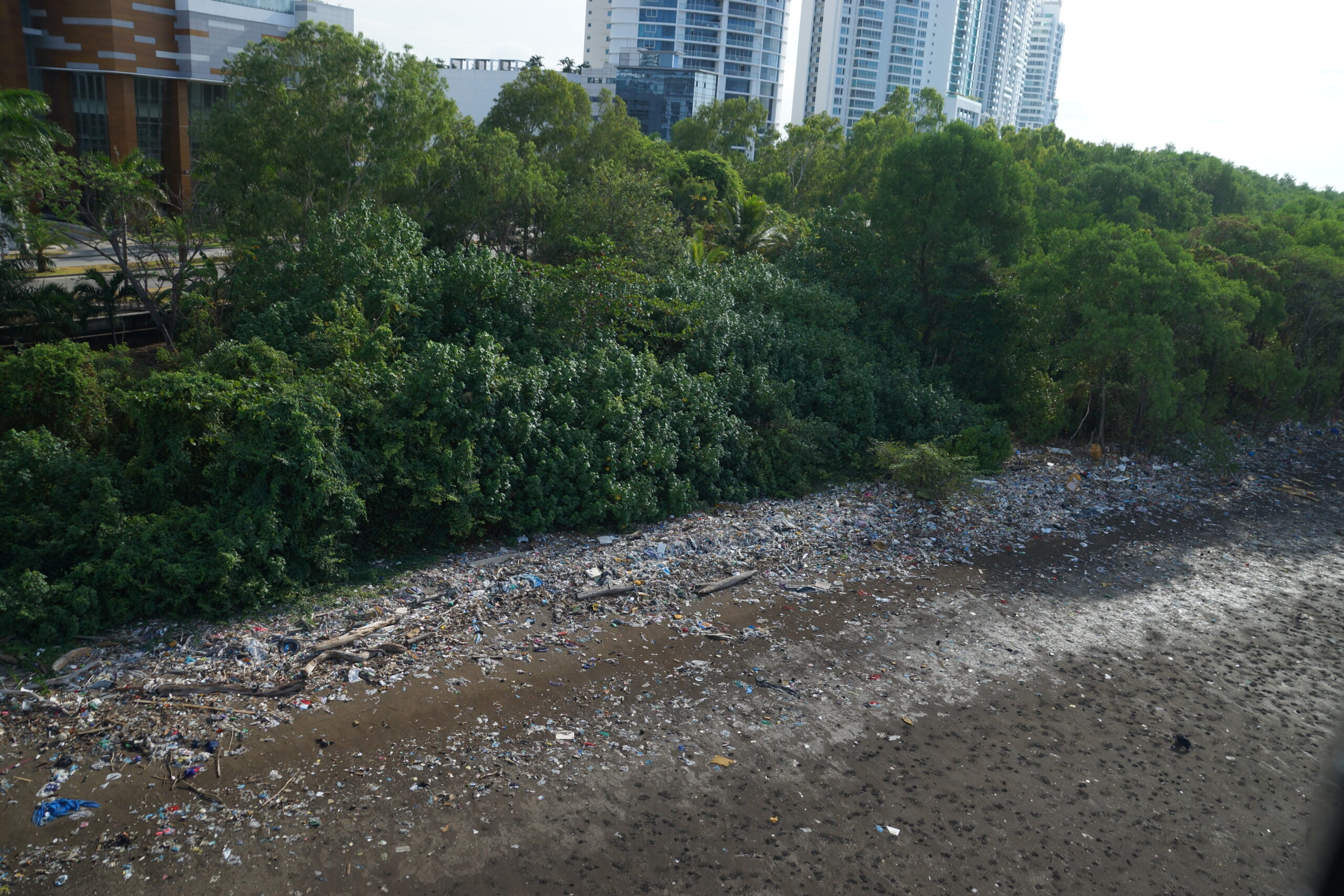 In the distance, two high-rise condominium buildings emerge from behind a dense canopy of trees. In the foreground, a muddy river channel is lined with plastic and other debris.